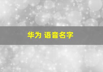 华为 语音名字